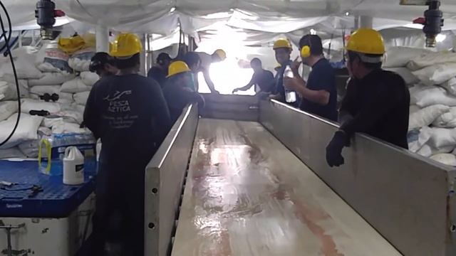 220 toneladas de atún capturado смотреть онлайн