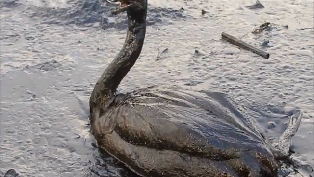 НЕфть смотреть онлайн