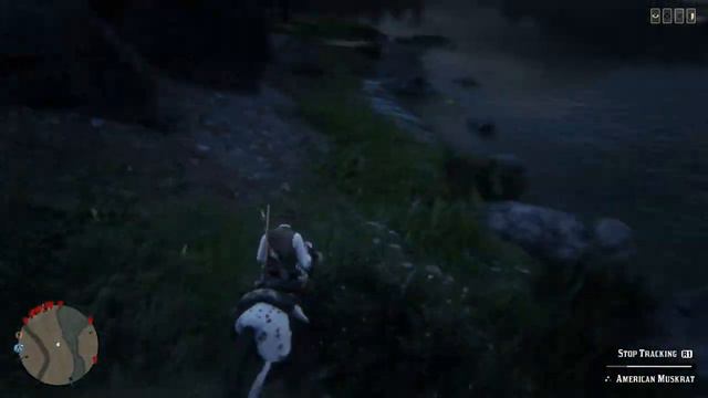 RDR2 COUGAR SEDATED RED DEAD REDEMPTION 2/PUMA SEDADO смотреть онлайн