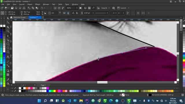 Convert a Black and White Image to Colored Using Corel Draw смотреть онлайн