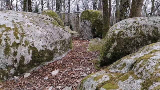 Я есть чистый дух/Юэлль Андерсон/Первая медитация творца реальности/Без практики замедления смотреть онлайн