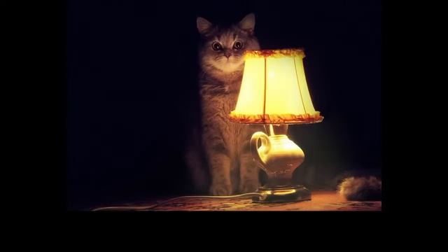 Третья Мировая? Стримим. смотреть онлайн