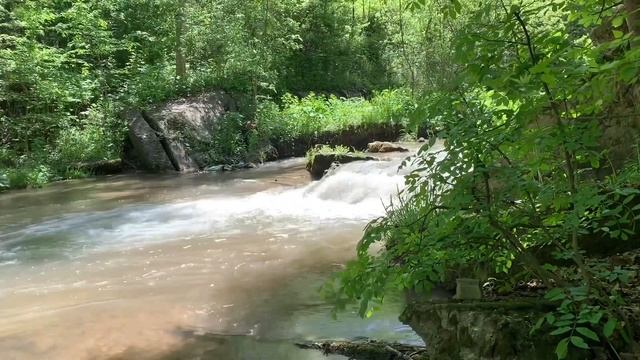 РЫБАЛКА НА БУТЫЛКУ В ГОРНОЙ РЕКЕ ФОРЕЛЬ#ФОРЕЛЬ смотреть онлайн