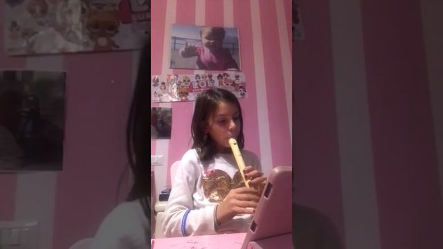 Il Valzer - esecuzione col flauto di Beatrice смотреть онлайн