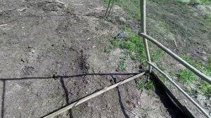 Дешевая теплица своими руками