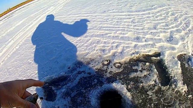открытие 2020 по местным водоёмам смотреть онлайн