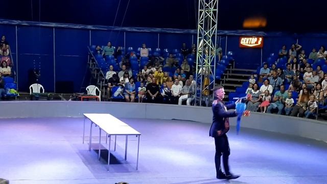 Цирк Vivat в Петрозаводске, 1.07.2023 смотреть онлайн