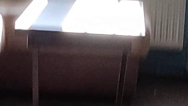 окна грязные хотя мы их моем каждый час смотреть онлайн
