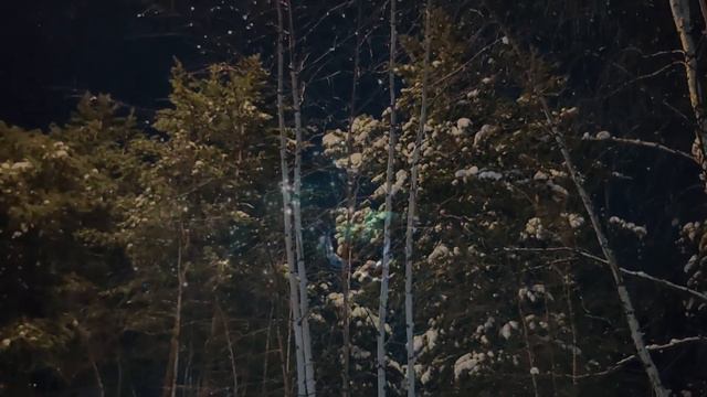 Зимний блюз... Видиопоэзия. Читает автор А. Шведун. Видео, монтаж, соло-гитара О. Дзиов. смотреть онлайн
