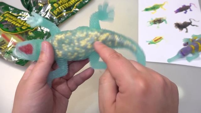 Коллекция Рептилии из КБ! В мире рептилий Красное и Белое антистресс