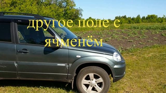 АХ СЕНОКОС! СЕНОКОС! В ЖАРУ ПОД 40 ГРАДУСОВ. смотреть онлайн