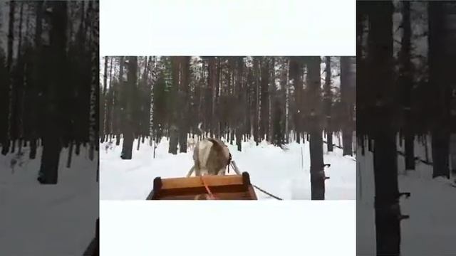 FINLAND TRIP ROVANIEMI смотреть онлайн