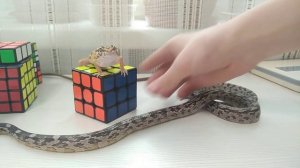 Как сделать крутой узор на кубике Рубика 3 на 3.