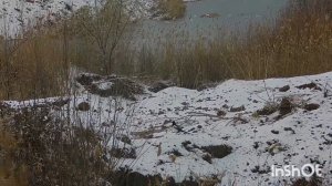 Кроухантинг, Альфа доберман 4.5