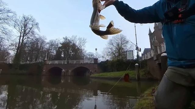 Turus Ukko Wobbler: Angeln Mit Köderbauer Guido Behle