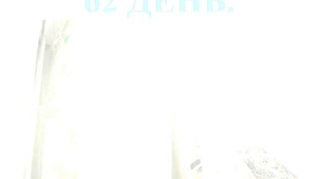 Выращивание огурцов в квартире 2016г. смотреть онлайн