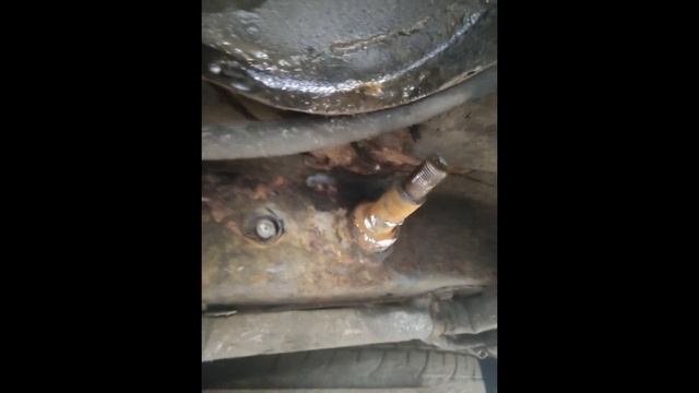 Задние амортизаторы Мазда МПВ-1 1996?. Купил правую переднюю пружину RK3598 смотреть онлайн