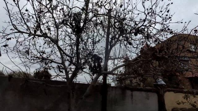 оформление забора, камни натуральные, в кузнечном заборе. смотреть онлайн