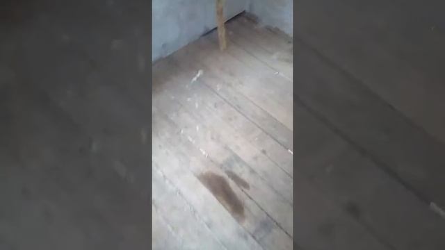 Дом Своими Руками