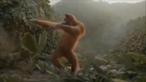 Смешная обезьяна танцует под супа дупа флай