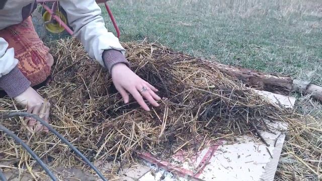 как сделать грядку на целине