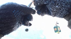 ЖОР ОГРОМНЫХ ОКУНЕЙ!!! РЫБАЛКА НА ОКУНЯ В ЯКУТИИ!!! ЛЕСКИ РВУТСЯ ЗА РАЗ!!!