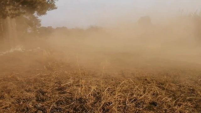 Quad Puma Bashan 250cc Bączki смотреть онлайн