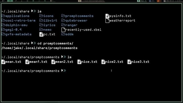 Fun with the bash prompt (and an explanation about my community post poll) смотреть онлайн