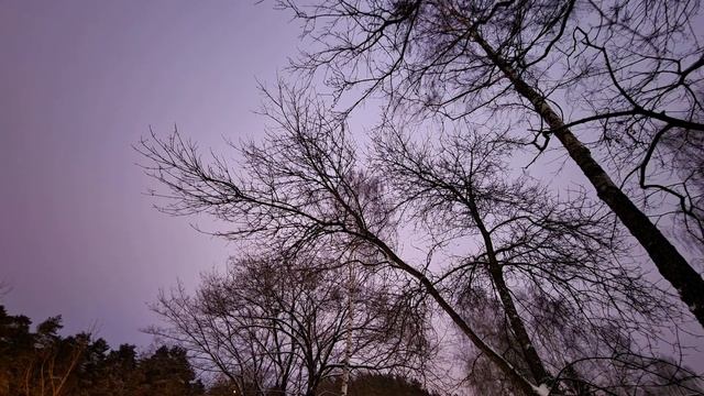 Samsung Galaxy S21 FE ? Обзор + ТЕСТ Камеры ? Стоит ли ПОКУПАТЬ смартфон 2022? смотреть онлайн