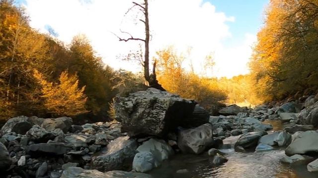 река в Красной поляне смотреть онлайн