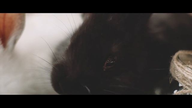 2016_04_28 - фотостудия "Акварель" (Ольга Пинчук) смотреть онлайн