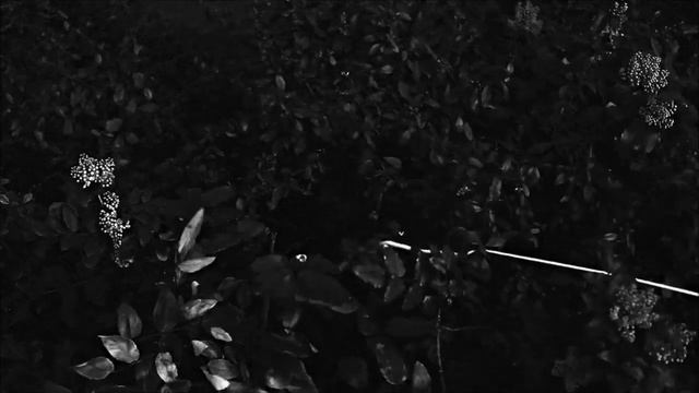Alternative 4 - Lifeline [official music video] смотреть онлайн