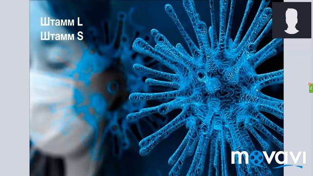 Программа защиты от короновируса смотреть онлайн