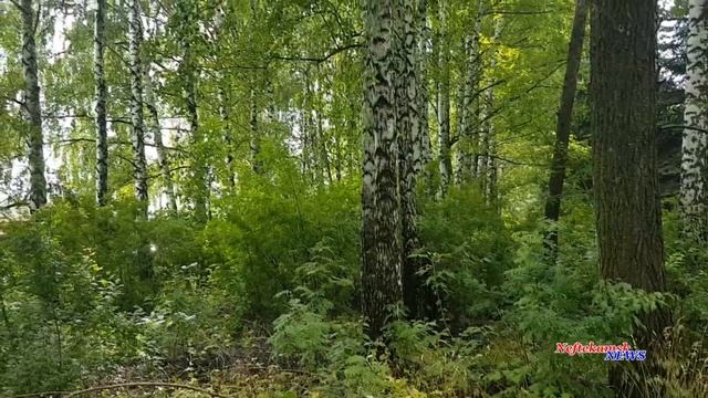 Другой Нефтекамск м/р с.Амзя. Детская площадка и "благородная" свалка. смотреть онлайн