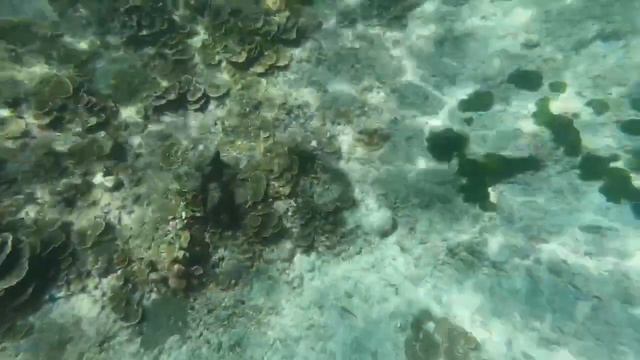 Симиланские острова, Тайланд. Снорклинг смотреть онлайн