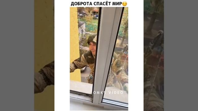 Россиянин угостил промальпиниста шоколадом и пригласил на чай смотреть онлайн