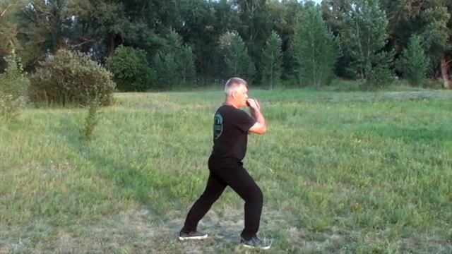 Тайцзицюань стиля Ян. Комплекс форм "Старые шесть дорог" смотреть онлайн