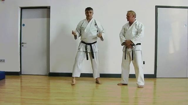 Meikyo Bunkai Strategies 2016 week 36 koryu karate oyo jutsu смотреть онлайн