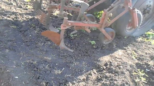 Первое окучивание картофеля. ( Тяпка курит ) смотреть онлайн