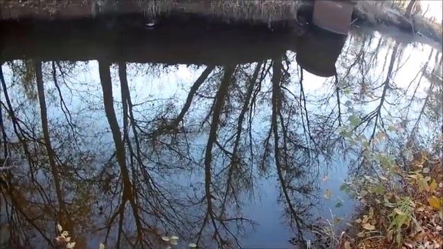 Рыбалка в центре Запорожья на мормышинг! Практика в болоте смотреть онлайн
