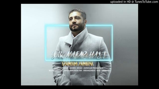 تمیم امینی - یک نفر هست / Tamim Amini - Yak Nafar Hast - Afghan Music 2018 смотреть онлайн