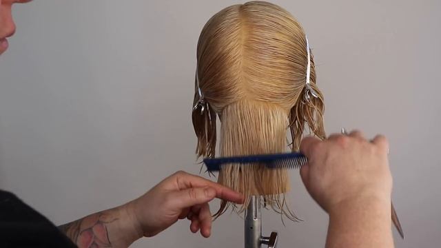 Basic layered bob haircut | How To Cut A Layered Bob Haircut Tutorial смотреть онлайн