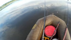 Ловля окуня на живца