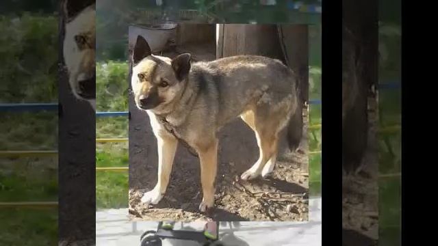 Лепс небо на ладони смотреть онлайн