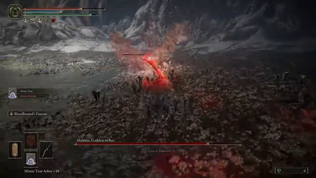 Slapping absolute fuck out malenia смотреть онлайн