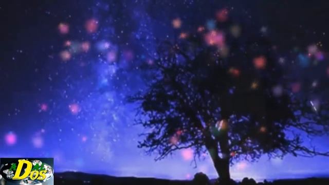 #DIMASH: ADAGIO fantastic singing (ACAPELLA). Адажио фантастическое исполнение (акапелла) смотреть онлайн