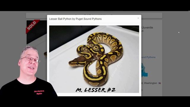 The 'Het Red Axanthic' Ball Python смотреть онлайн
