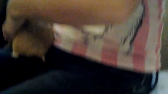 Дом моей сестры хомячок #3 смотреть онлайн