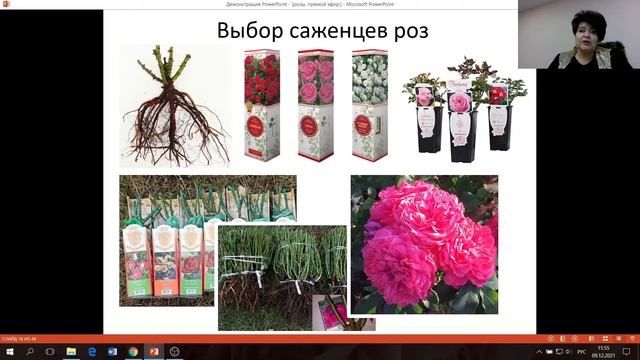 Всё о розах! (запись прямого эфира от 09.12.2021г.) смотреть онлайн