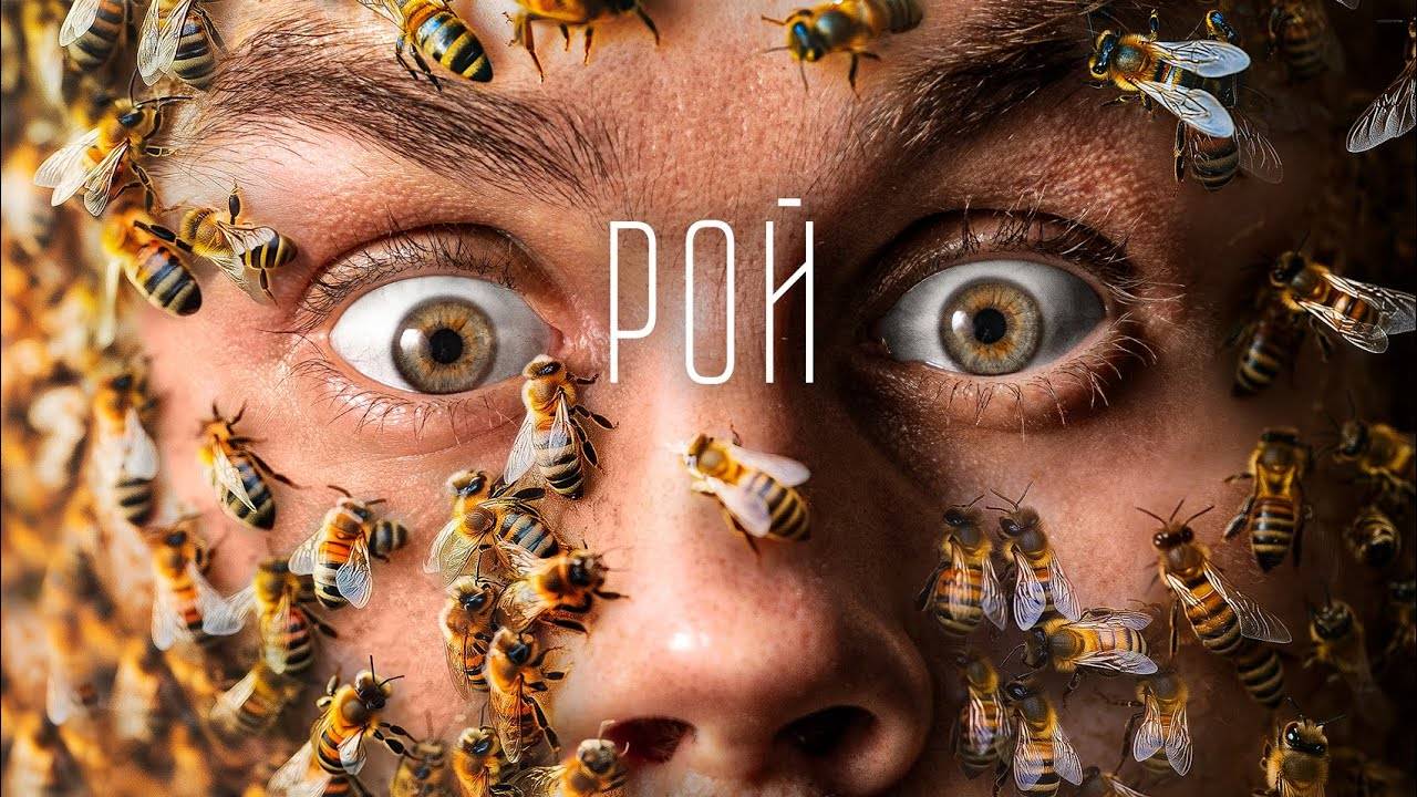 2024-09-08 Интеллект ИЗ НИЧЕГО. РАЗУМ РОЯ — ТОПЛЕС смотреть онлайн